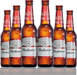 百威啤酒瓶装 (3打)