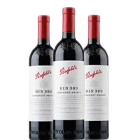 奔富389 750ml (3支)